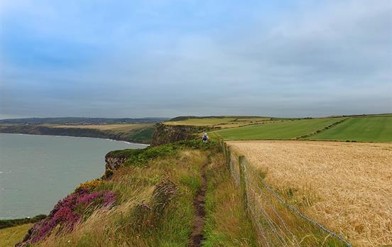 A bit of coastal walking when leaving St. Bees