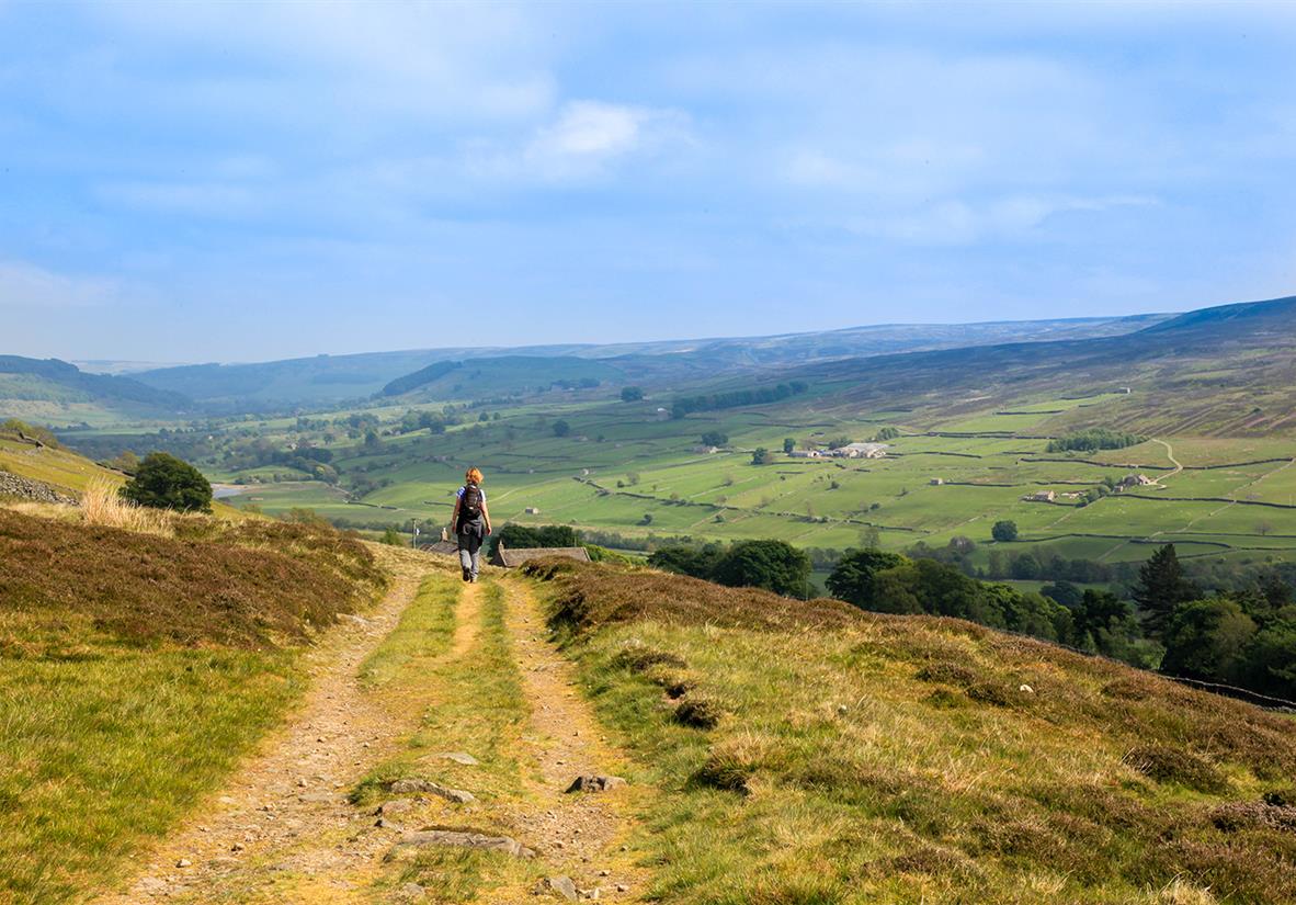 Expansive rolling hills and English countryside