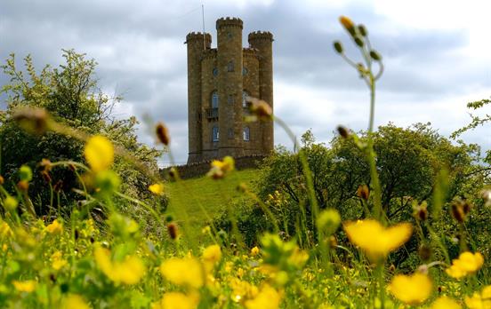 Broadway Tower in the buttercups