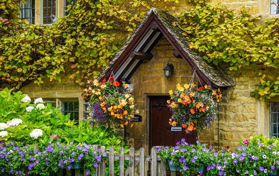 Cosy cottage hidden by colorful flowers