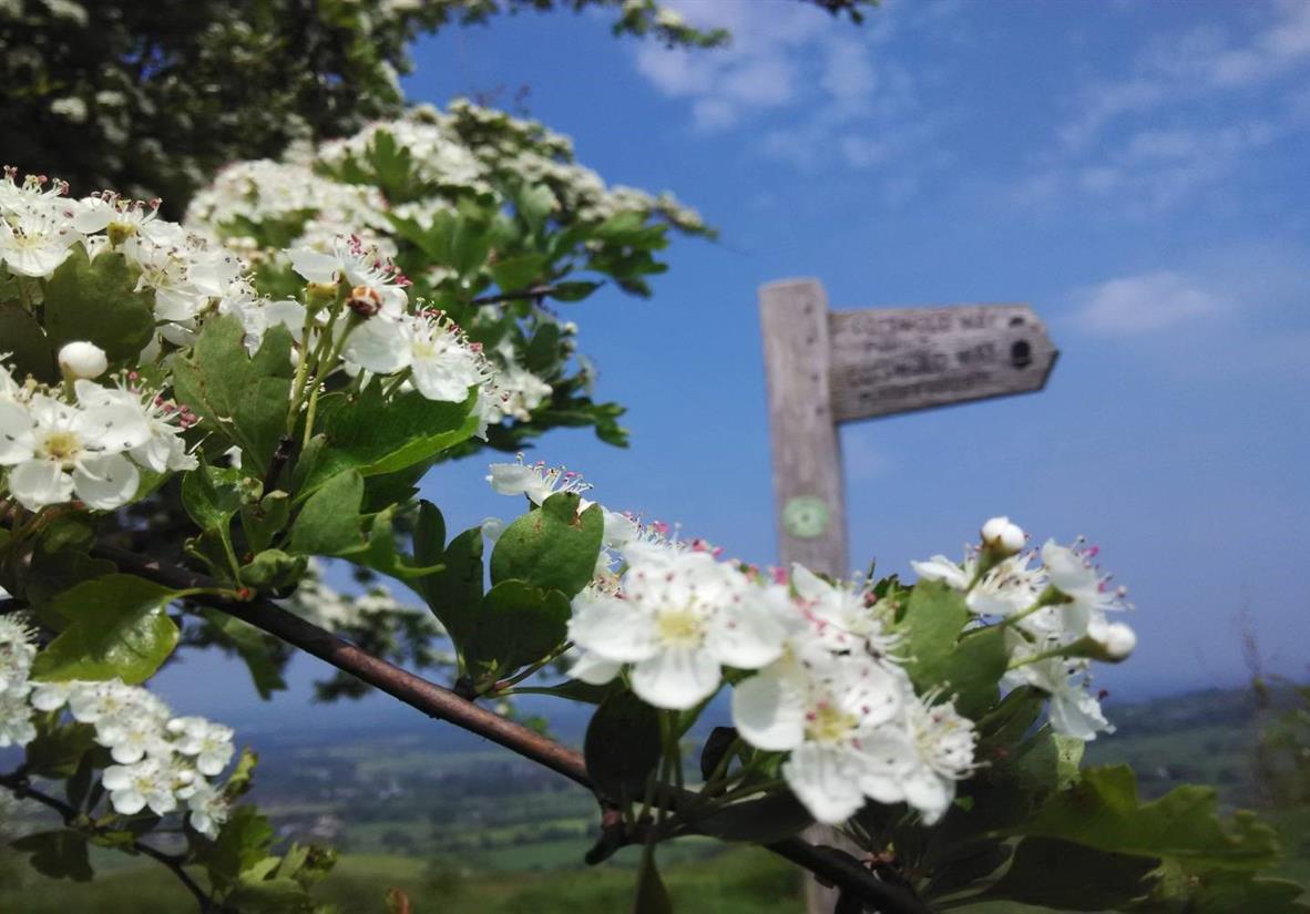 Follow parts of the Cotswold Way