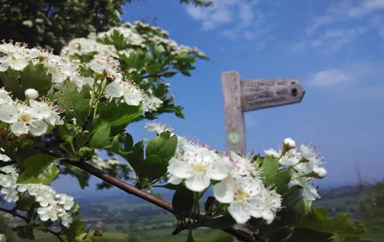 Follow signs for the Cotswold Way