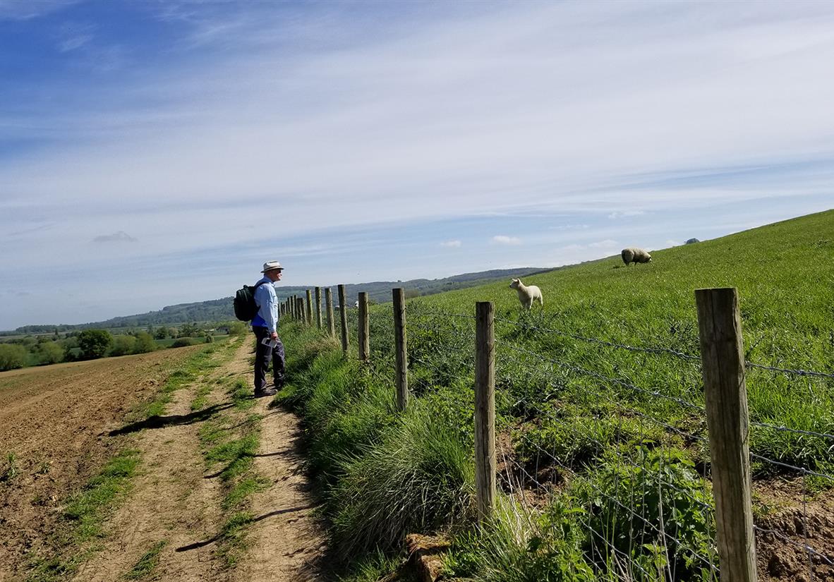 A pensive moment on the Cotswold Way