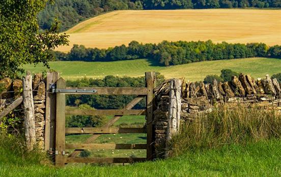 Englische Landschaft der Cotswold