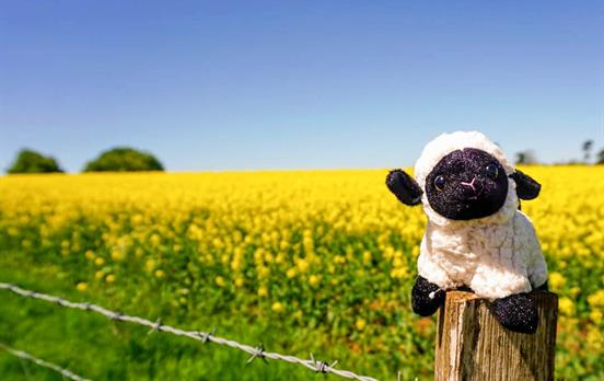 "Have fun" in the Cotswolds!