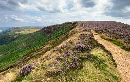 Heather clad moor paths
