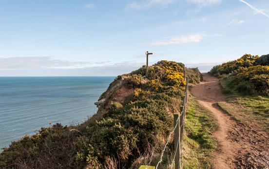 Coastal Path near Robin Hood's Bay