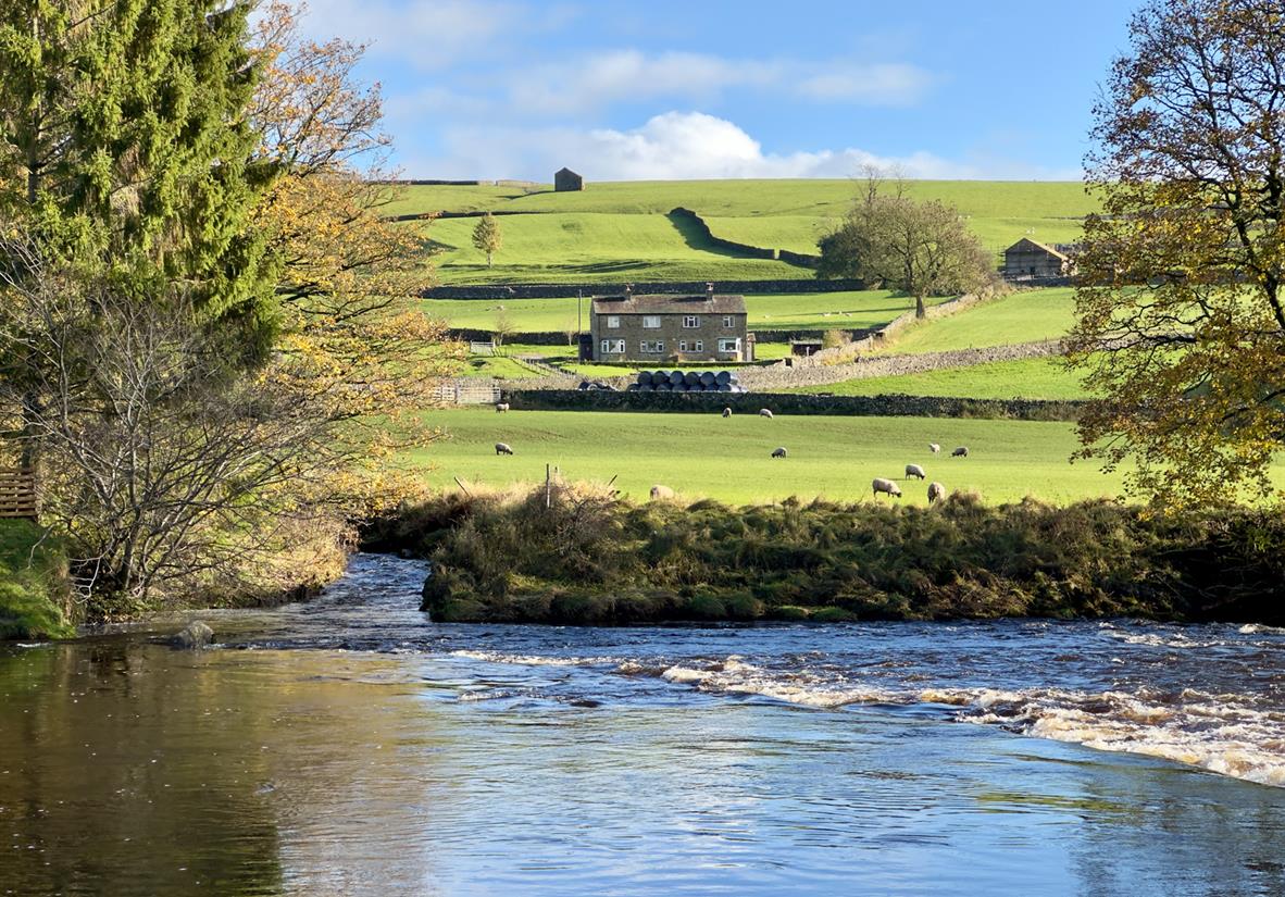 Lush Yorkshire landscapes