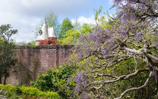 Trelissick Gardens