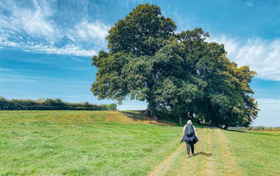 Grüne englische Landschaft bei Carlisle