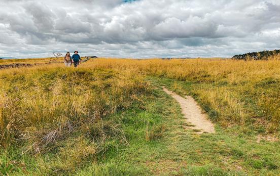 Kleine Pfade durch Sewingshield Crags