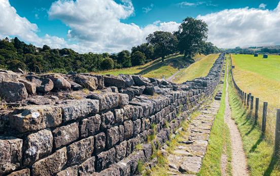 Section of the wall at Willowford Farm