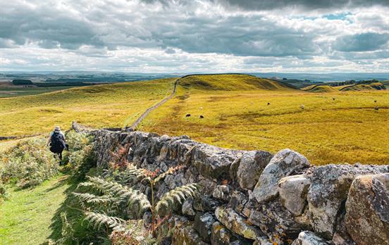 Wall near Housesteads