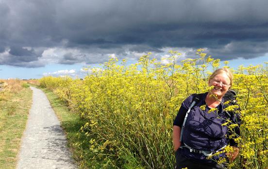 Wanderung auf ruhigen Landstraßen