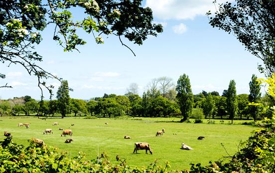 Walk through pretty countryside