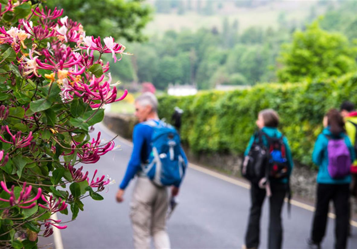 Peaceful walks in the Lake District