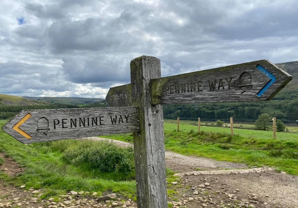 Clear Signposts - Photographer: David Stott