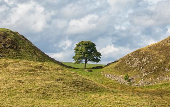 The iconic Sycamore Gap at Hadrian's Wall