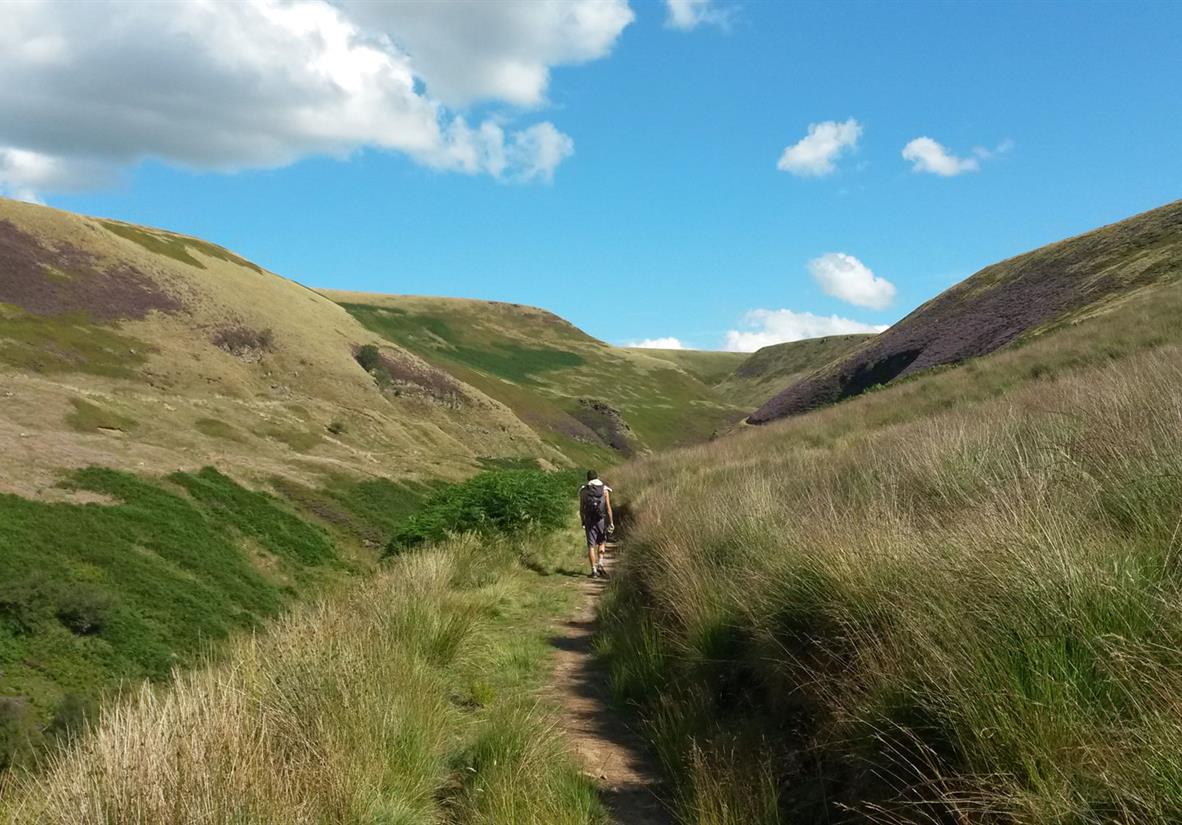 Moorland of the Dark Peak