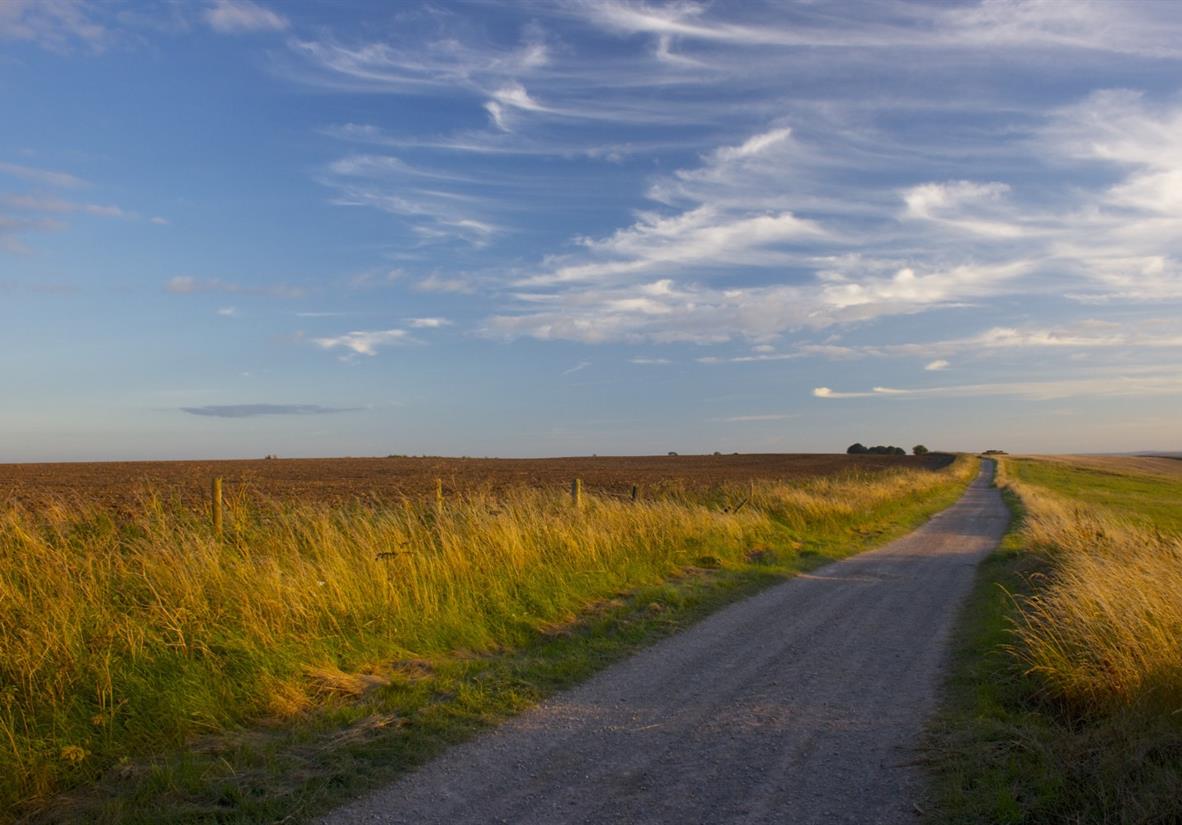 Ridgeway is one the less trodden national trails