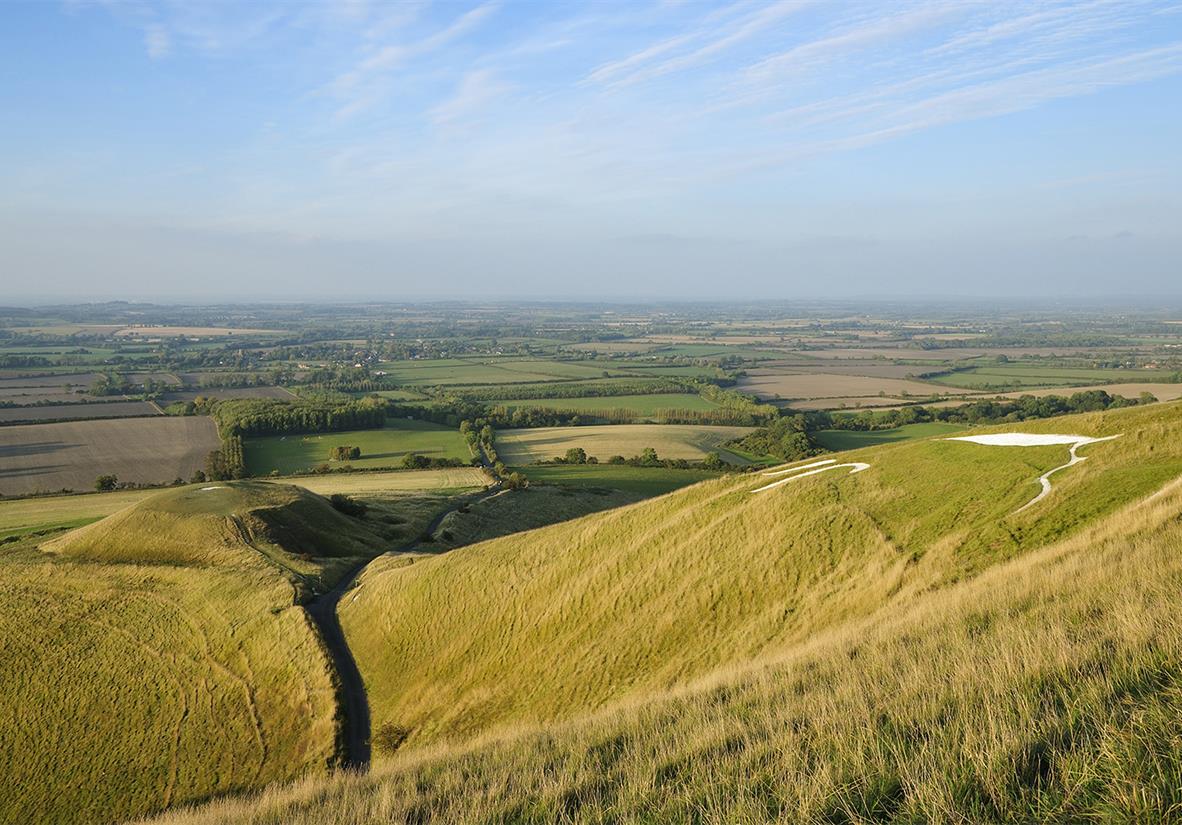 Escarpment not far from the white horse in Wantage