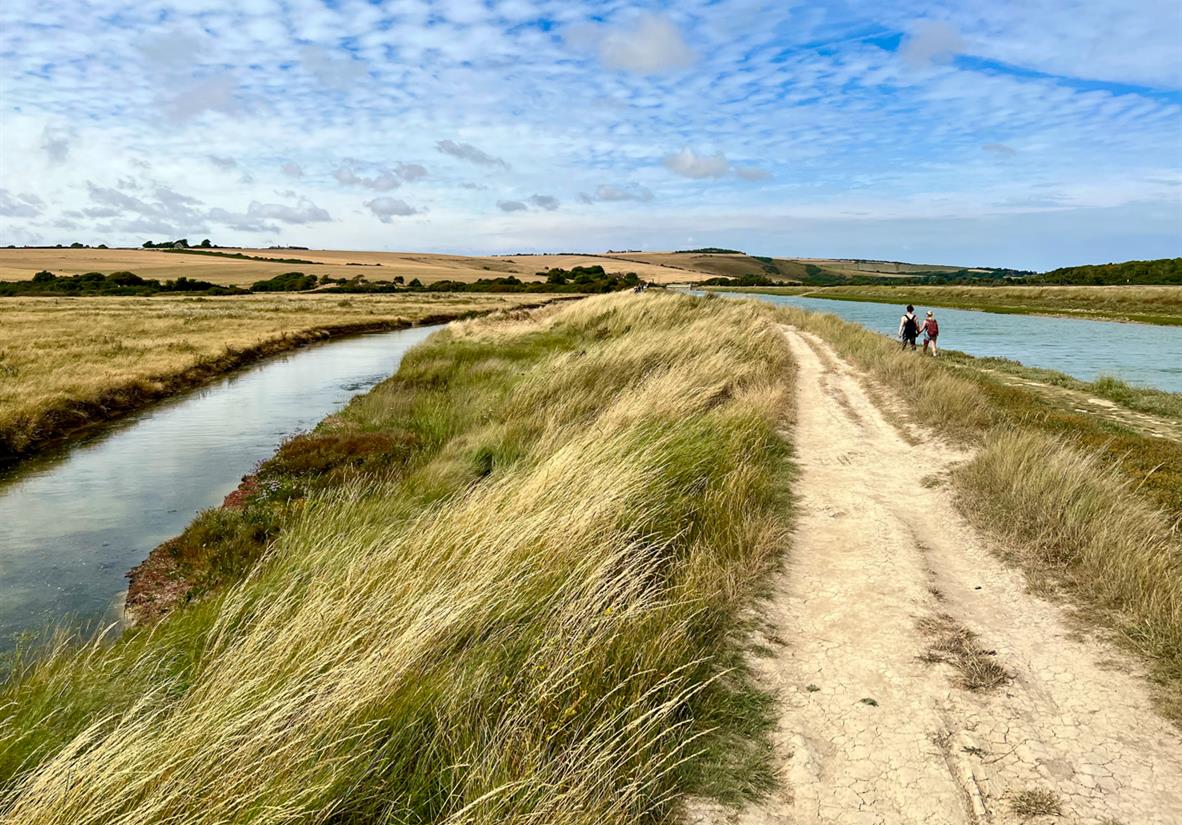 Follow droveway paths all along the South Downs