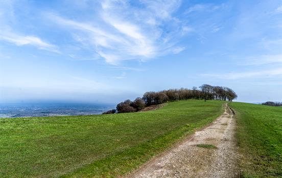 Chanctonbury Ring