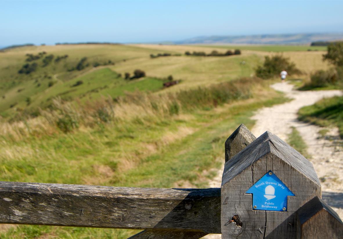 South Downs Way waymarking will keep you on track