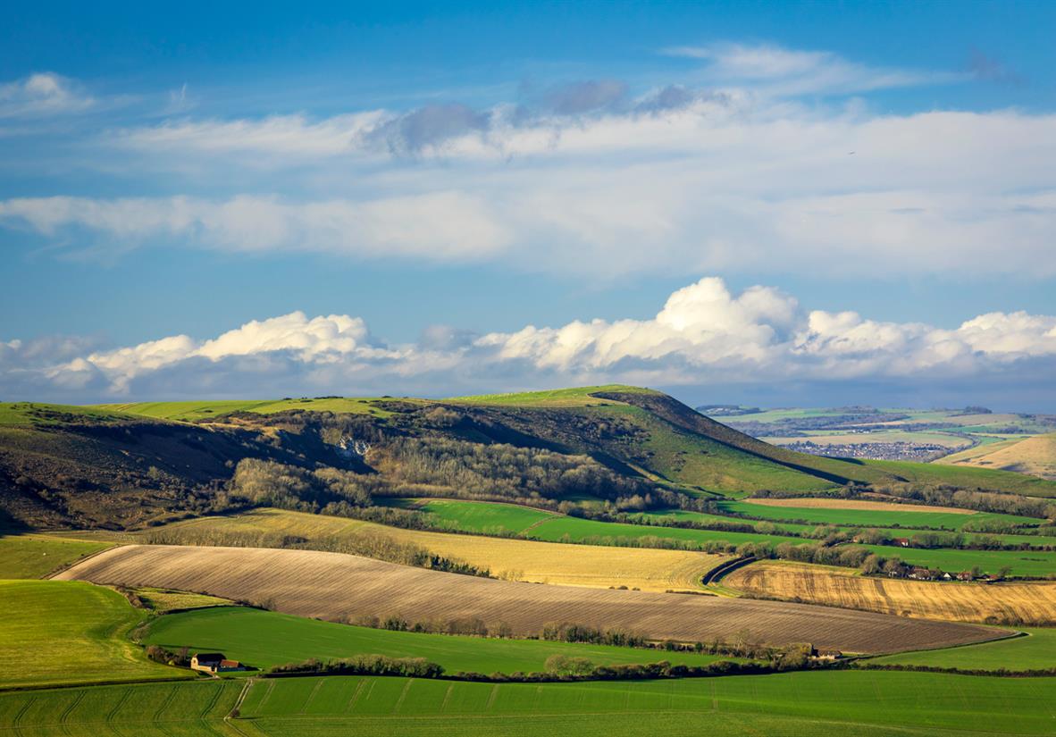 Varied landscapes of the South Downs Way