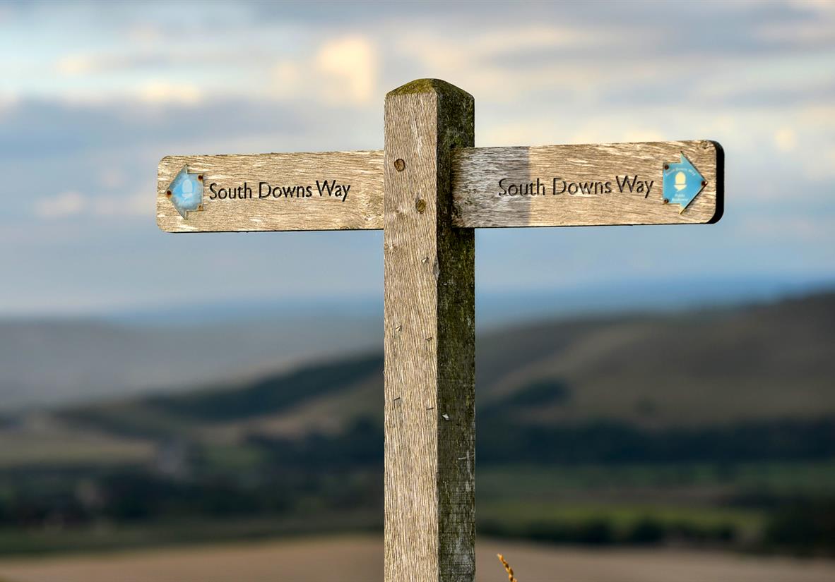 South Downs Way waymarking will keep you on track