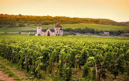 UmbracoBannerImageUmbraco-ChateauinBurgundy