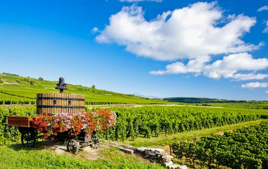 Burgundy views