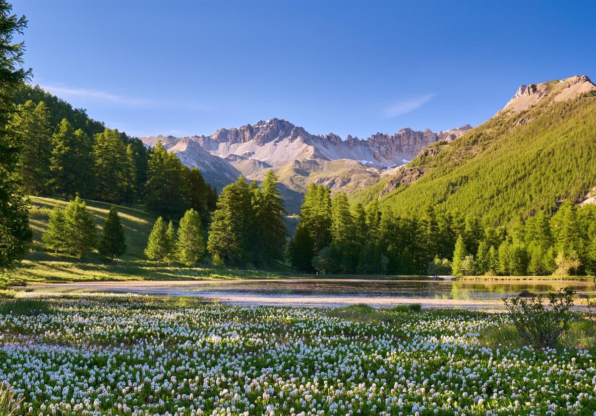Views Around Arvieux