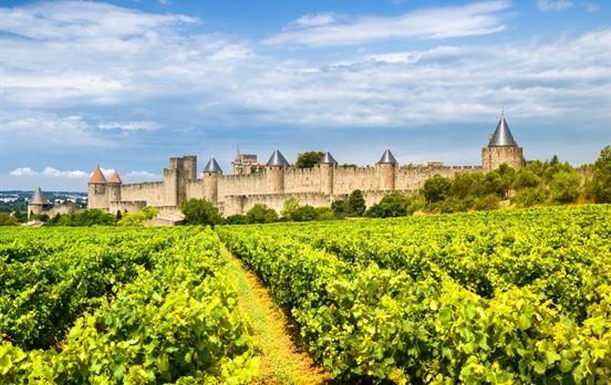 Die Mauern von Carcassonne vor Weinreben