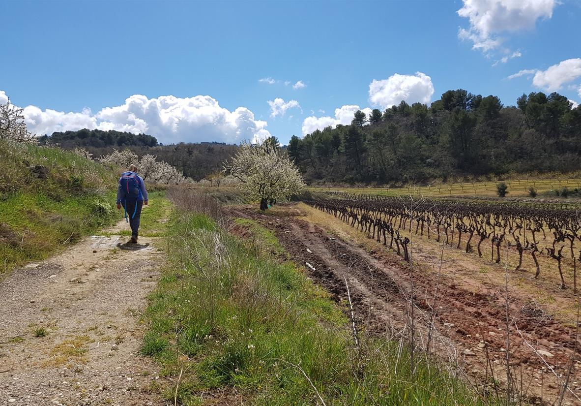 Walk past vineyards and orchards