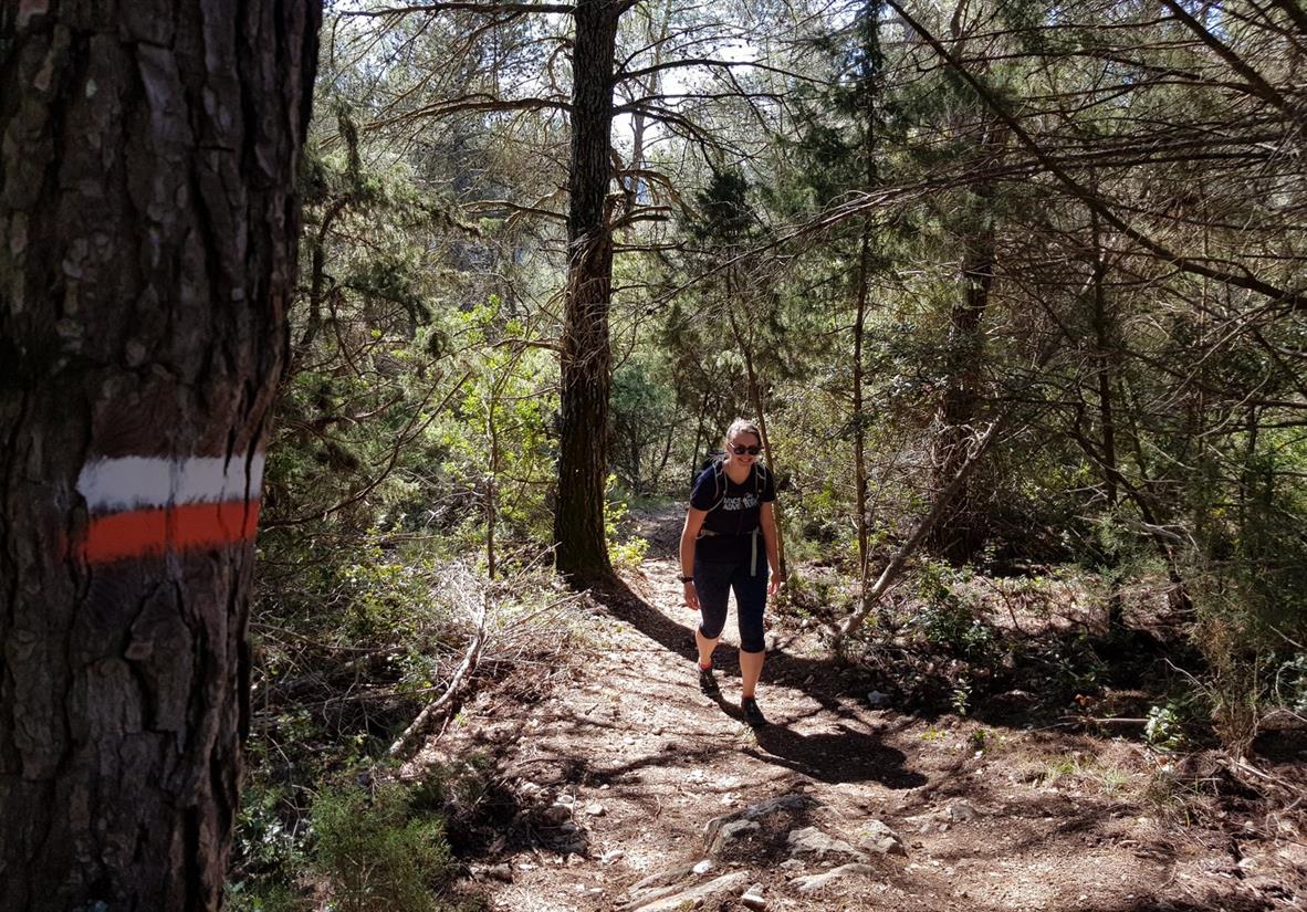 On a forest trail