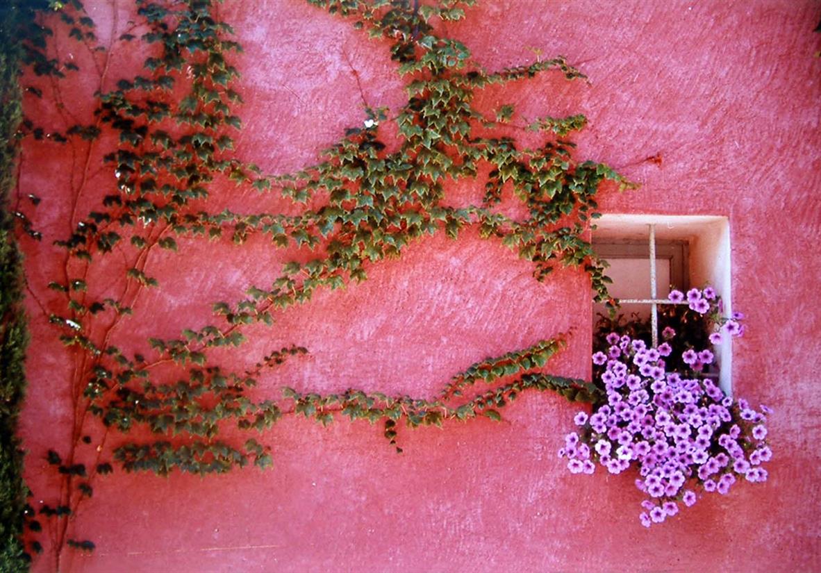 House wall in Provence