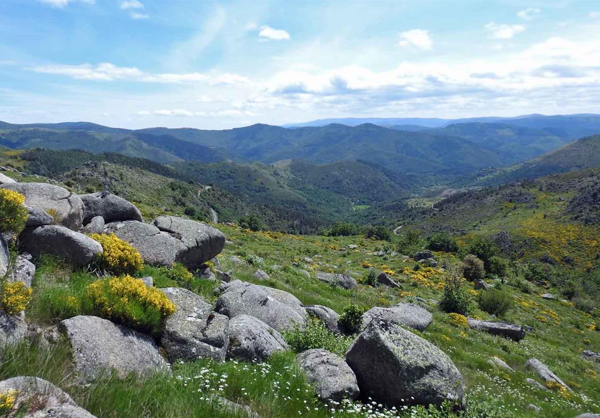 Mont Lozere