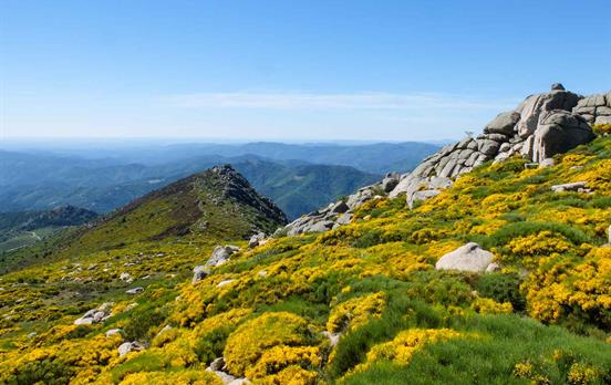 Views from Mont Lozere