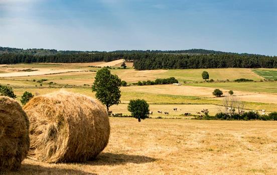 Rolling farmland of the Cevenne