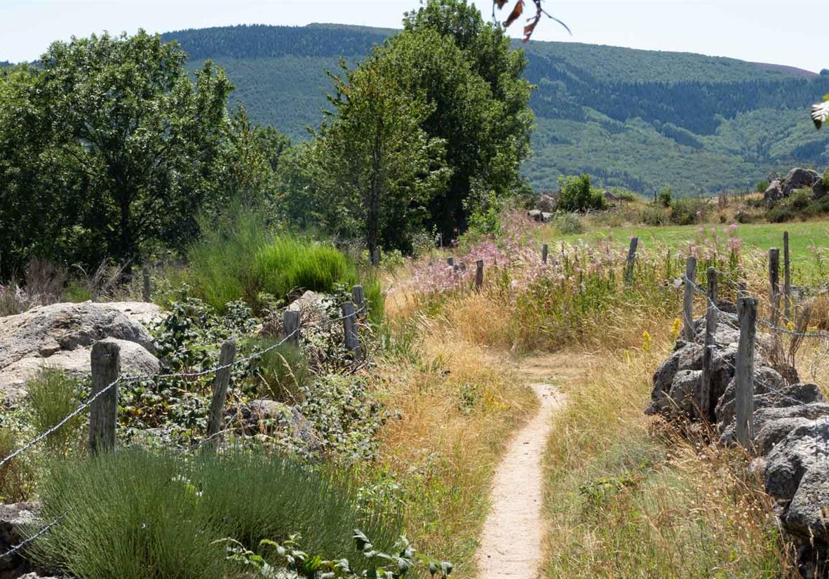 A typical walking trail