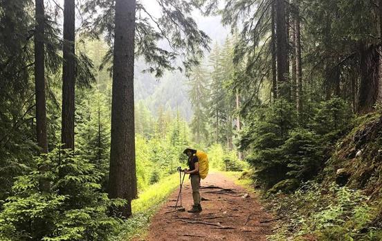 Peaceful woodland path along the trail
