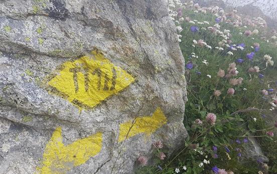 TMB Waymarking on route to Courmayeur