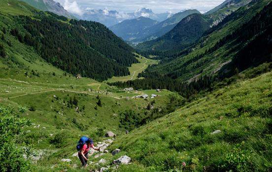 Walk through Alpine meadows