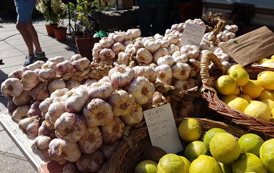 French market stall - garlic
