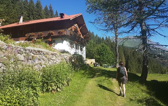 Typische Alpenchalets auf dem Weg