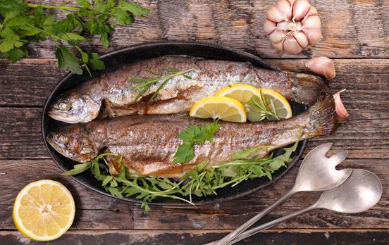 Frische Bachforellen aus der Altmühl