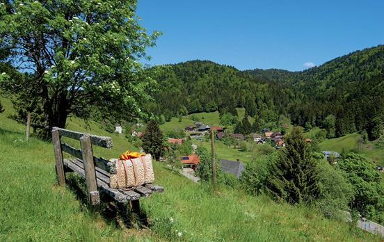 Der aussichtsreiche Lebküchlerweg