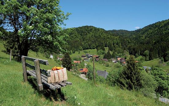 Green rolling hills