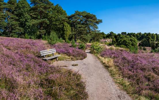 Zeit für eine Rast am Heidschnuckenweg